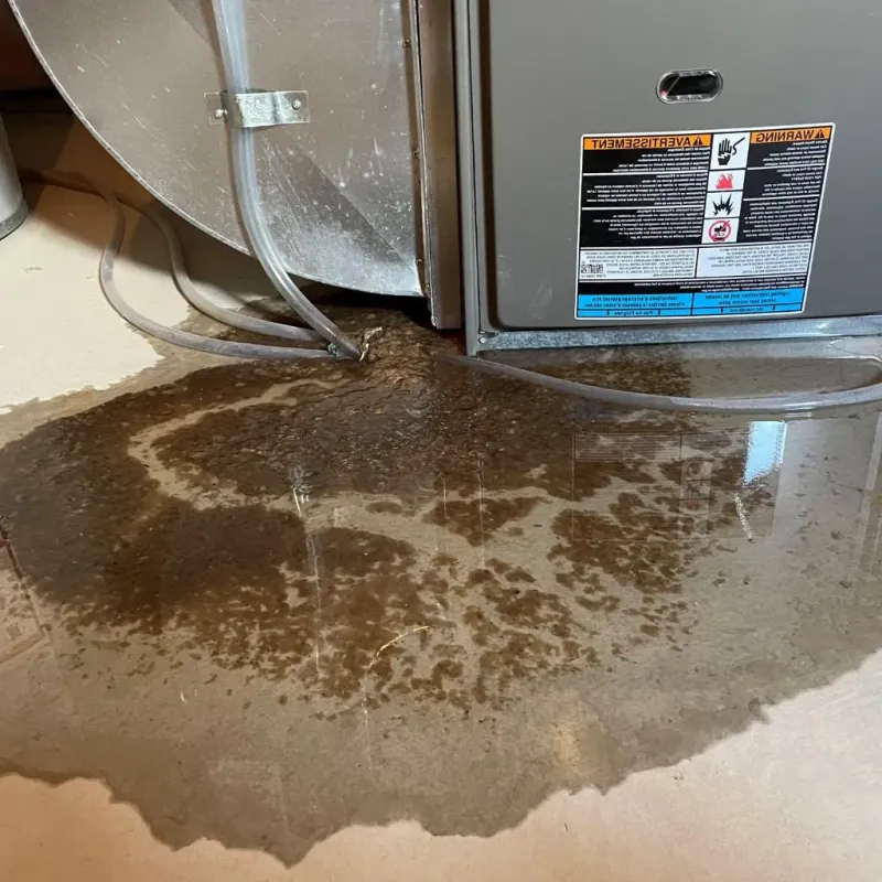 Pipe Burst and Leak Restoration in Penobscot County, ME